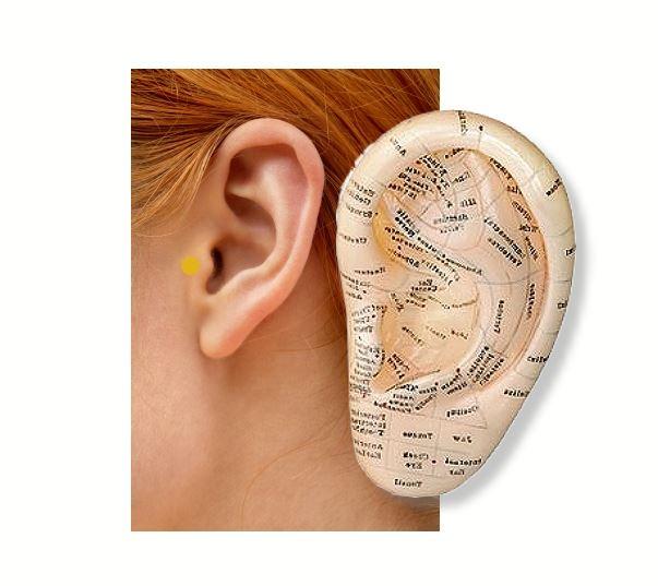 Ohr Stimulationspunkt zum Abnehmen